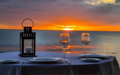 L’Élégance Tropicale entre Apéro Chic et Dîner Royal