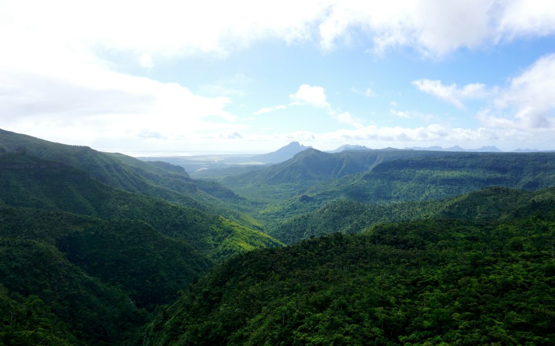 La Vallée de Ferney : Votre Échappée Nature et Authentique au Cœur de l’Île Maurice